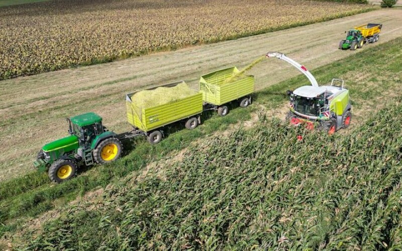 У Німеччині пенсіонер загинув у комбайні з подрібнення кукурудзи