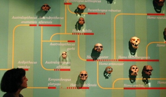 У Болгарії виявлено останки homo sapiens віком близько 45 тисяч років