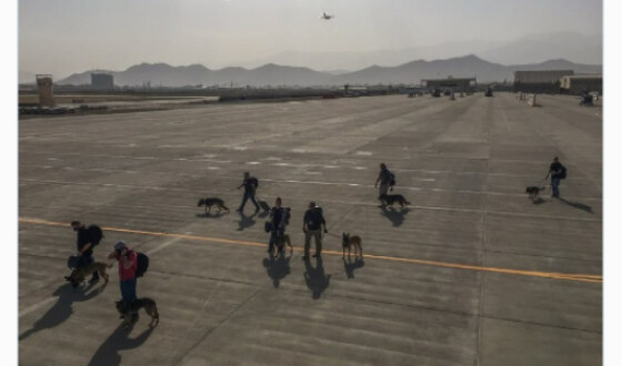 Американці забрали з Афганістану собак, але залишили на базі в Кабулі українських військових