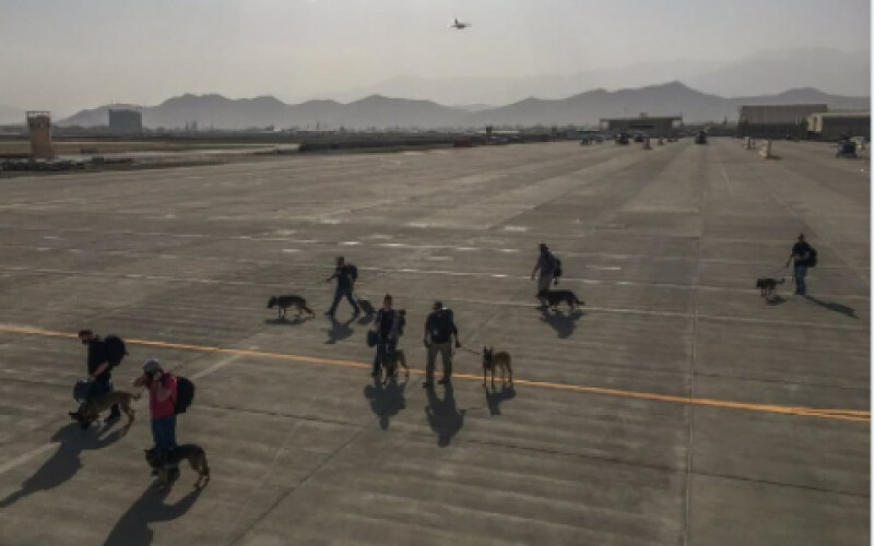 Американці забрали з Афганістану собак, але залишили на базі в Кабулі українських військових