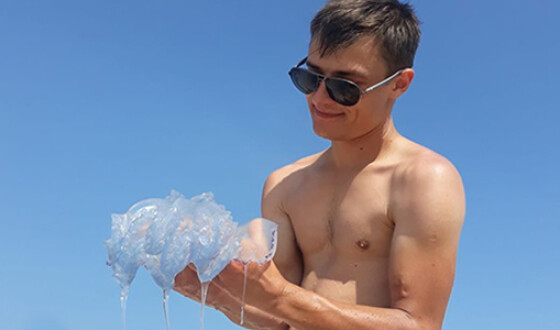 Запорожские курорты захватили медузы