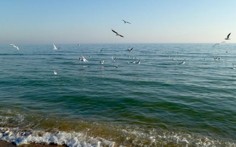 В Одесі виявили пляжі, які є небезпечними для відпочиваючих