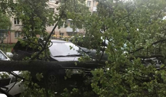 Буря в Болгарии: последствия в Софии