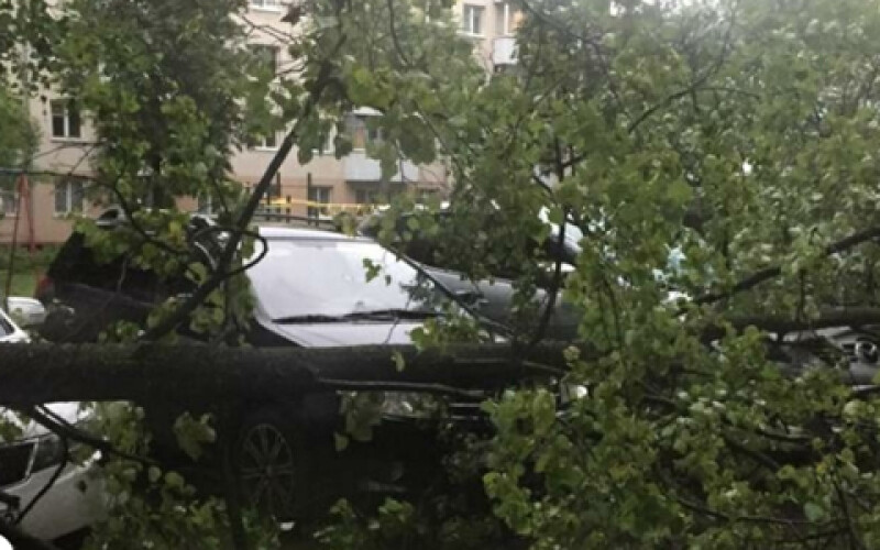 Буря в Болгарии: последствия в Софии