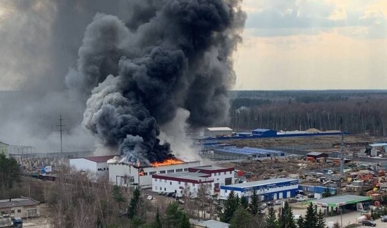 Поблизу москви сталася масштабна пожежа