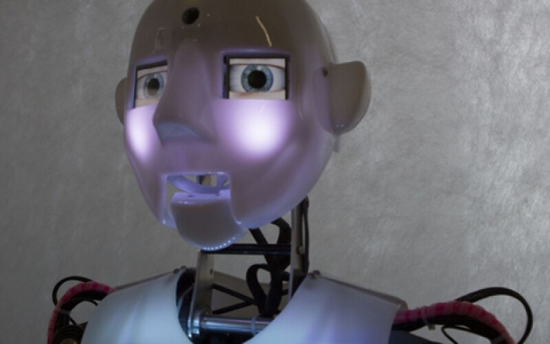 В Китае роботы будут собирать роботов