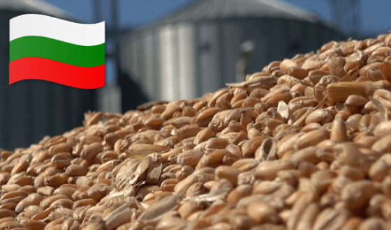 Болгария заняла лидирующие позиции по экспорту зерновых и масличных культур