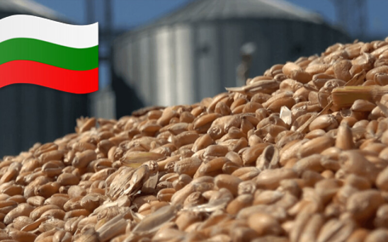 Болгария заняла лидирующие позиции по экспорту зерновых и масличных культур