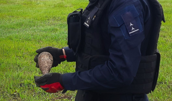 На Київщині селянин натрапив на міну часів Другої світової