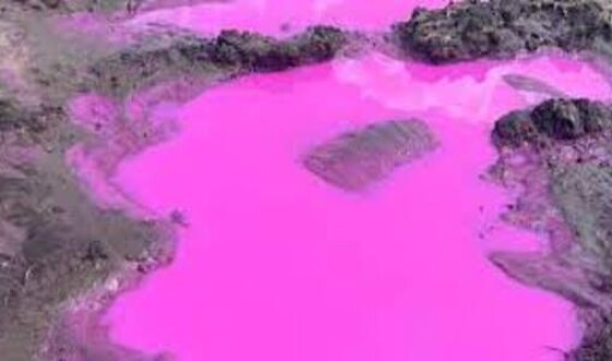 На Рівненщині виявили незвичні калюжі рожевого кольору