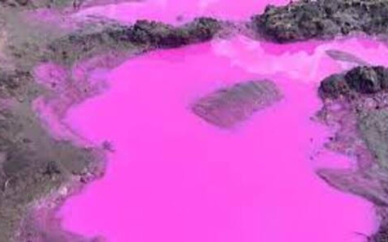 На Рівненщині виявили незвичні калюжі рожевого кольору