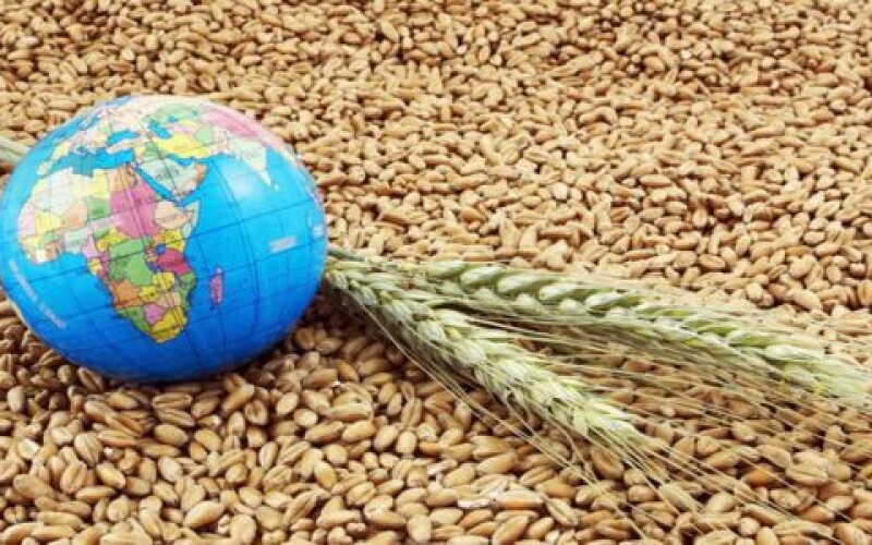 Украина открыла 85 рынков сбыта агропродукции