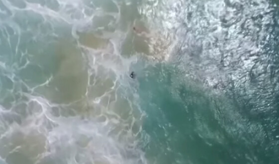 В Австралии дрон спас двух тонущих подростков. Видео