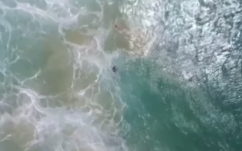 В Австралии дрон спас двух тонущих подростков. Видео
