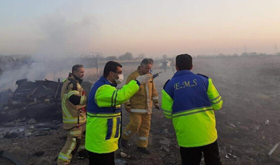 В Ірані впав літак МАУ з українцями. Відео