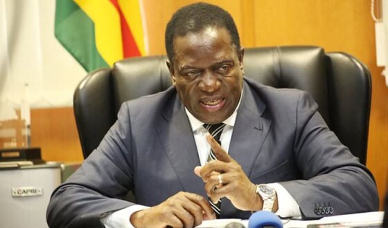 У Зімбабве опозиція звинувачує владу у фальсифікаціях виборів президента