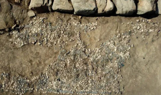 Археологи знайшли одну з найдавніших у світі мозаїк в Туреччині