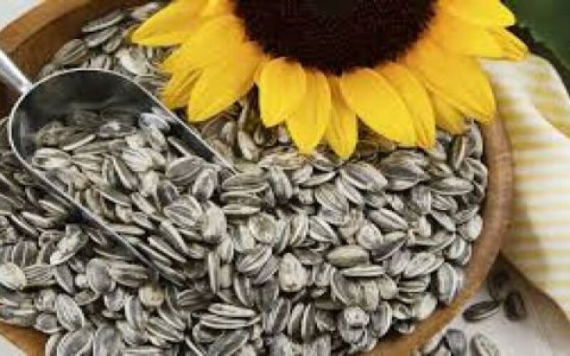 Україна наближається до рекорду з експорту соняшникової олії