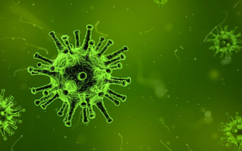 У жителя Ісландії виявлені два види вірусу SARS-CoV-2