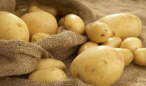 Картопля з Нідерландів, призначена для утилізації, опинилася на українському ринку