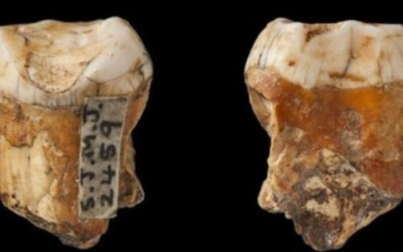 Вчені знайшли нові свідоцтва схрещування неандертальців і людей