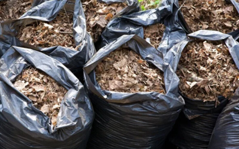 В Киеве запустят завод по переработке листьев на биотопливо