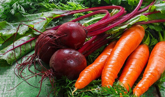 Украинские фермеры не хотят сажать морковь и свеклу