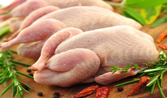 Україна потрапила в ТОП-10 світових експортерів курятини