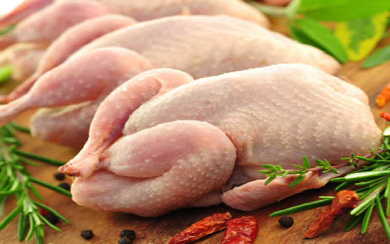В замороженной украинской курятине выявлена сальмонелла