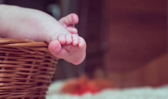 Эксперимент с виагрой унес жизни 11 новорожденных в Европе