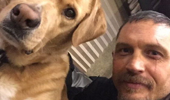 Актер Том Харди спас щенков от смерти
