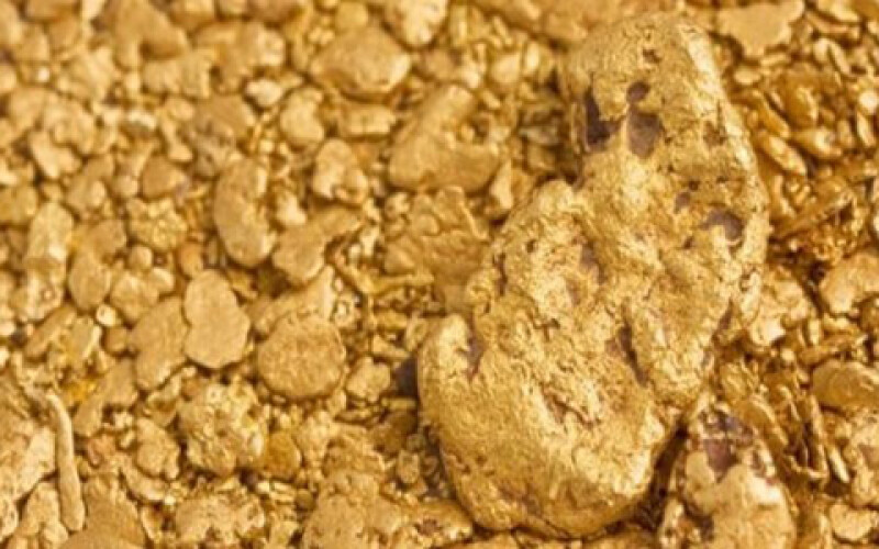 Ученые обнаружили бактерии, которые собирают золото по крупинкам