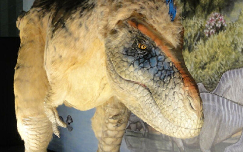 У Таїланді вчені виявили останки нового виду динозаврів