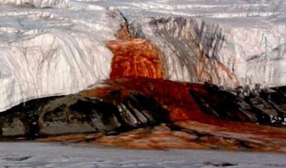 Ученые выяснили тайну красной воды на водопаде в Антарктиде
