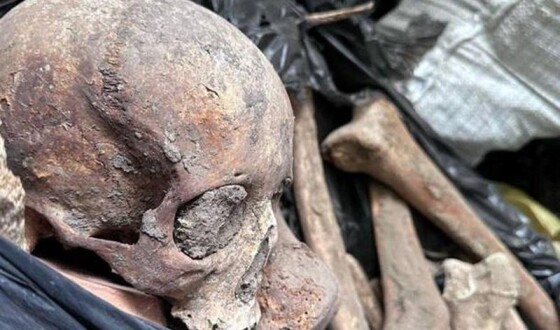 У Подільському районі столиці виявили 10 тонн людських кісток