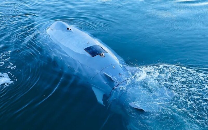 Німецькі дрони-акули захищатимуть Балтійське море від диверсій