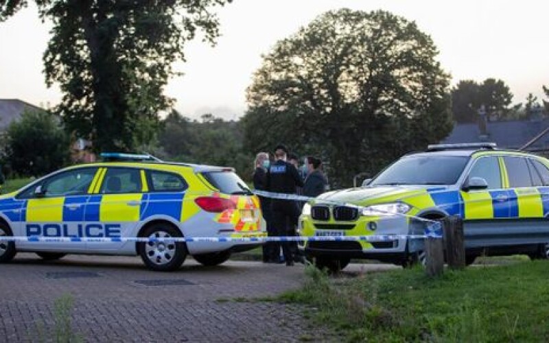 Британська поліція вважає терактом вбивство депутата парламенту Девіда Емесса