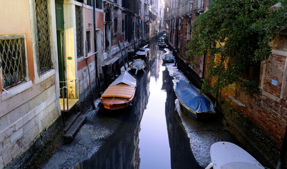 Вода в венеціанських каналах через карантин стала прозорою вперше за 60 років. Відео